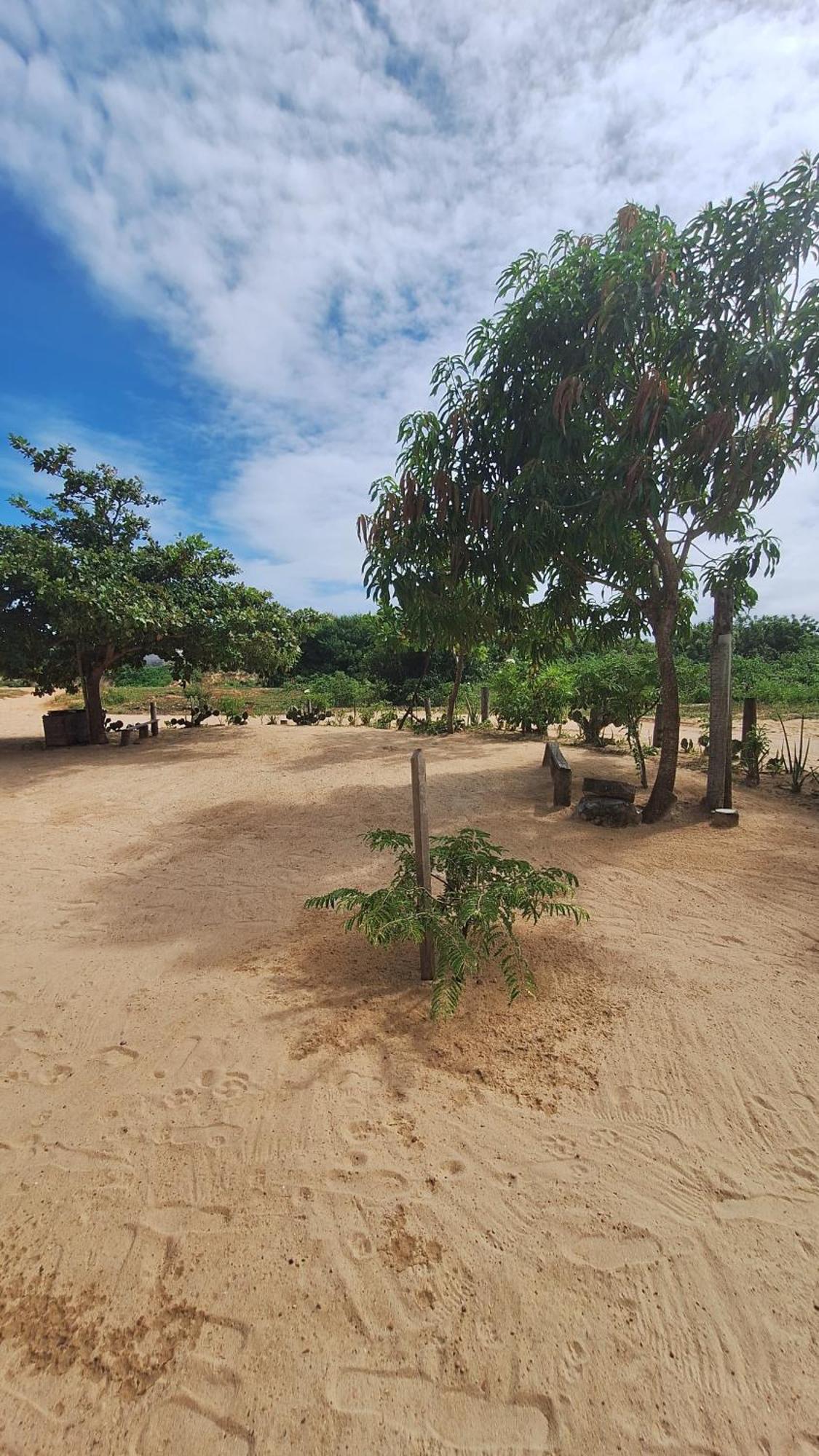 Pousada Maria Sara Jijoca de Jericoacoara Luaran gambar